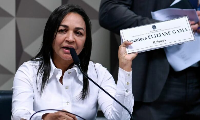 URGENTE: Eliziane Aponta Bolsonaro Como Responsável Pelos Eventos De 8/1